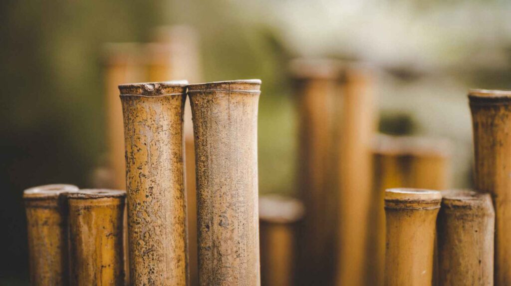 פתרונות במבוק