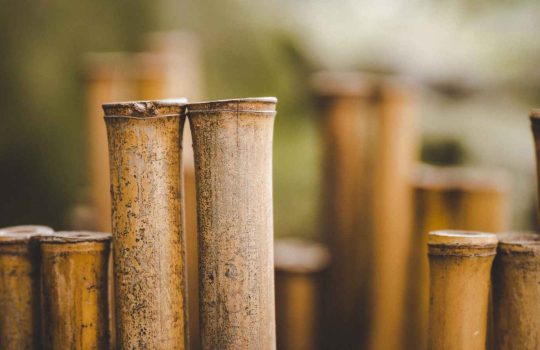 פתרונות במבוק2